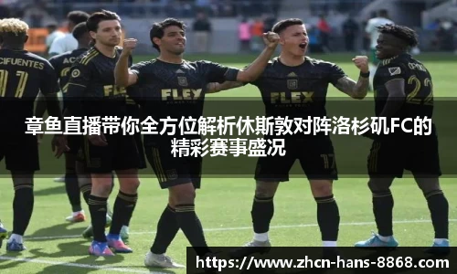 章鱼直播带你全方位解析休斯敦对阵洛杉矶FC的精彩赛事盛况