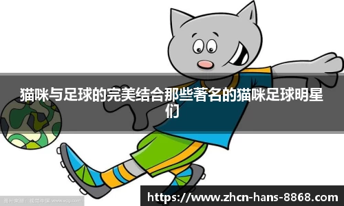猫咪与足球的完美结合那些著名的猫咪足球明星们